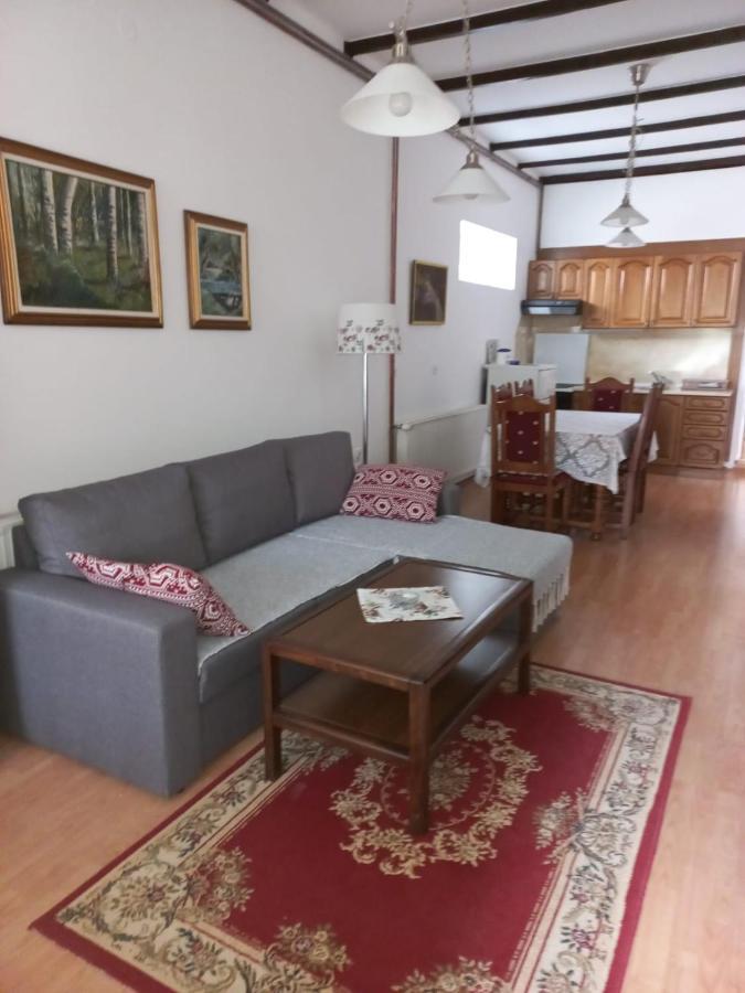 Ferienwohnung Gala Sokobanja Exterior foto